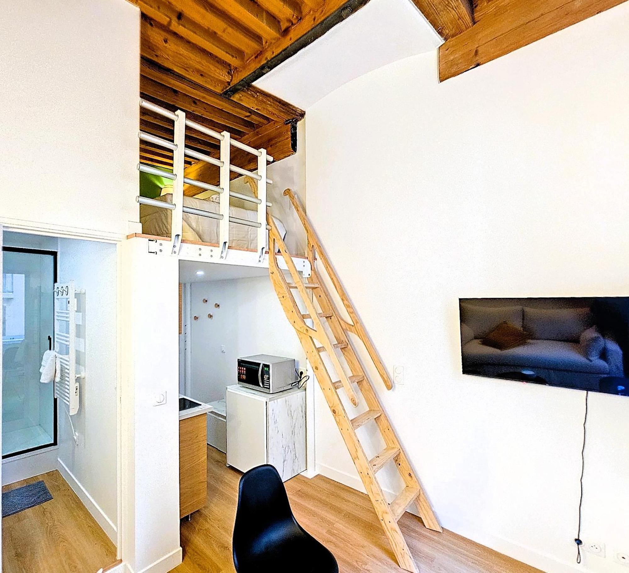Le Louis - 1 - Mezzanine Appartement